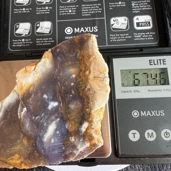 Blue Petrified Wood Freeform Slab (4) - Picture 10 of 10